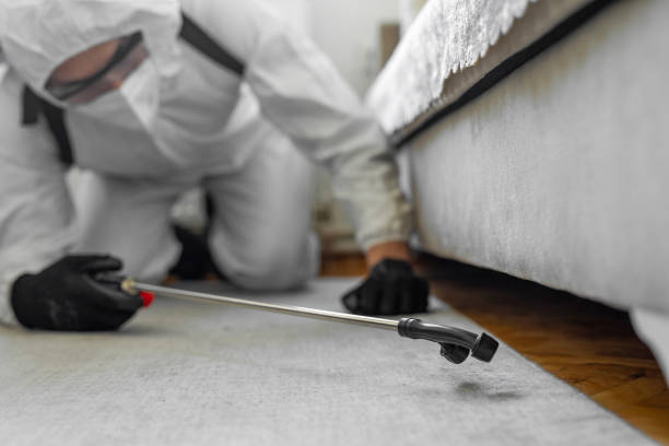 Professional Bed Bug Control technician working in Weweantic, MA
